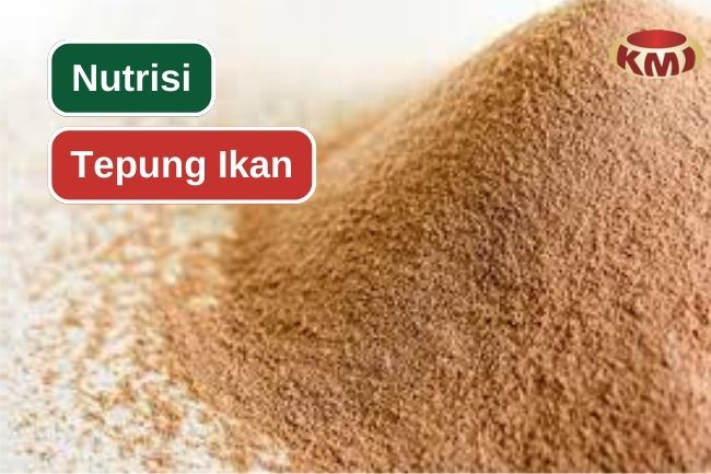 8 Jenis Nutrisi Yang Ada Dalam Tepung Ikan